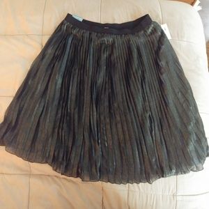 Beauitful skirt! NEW WITH TAG